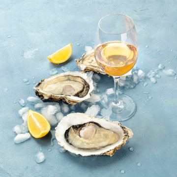 Fresh raw oysters on ice with a glass of white wine and lemon slices, square photo with copy space