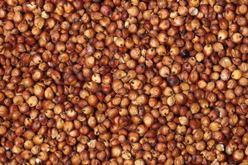 Sorgo seed (Sorghum Moench)
