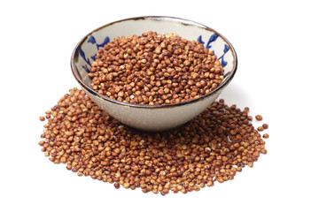 Sorgo seed (Sorghum Moench) on white background