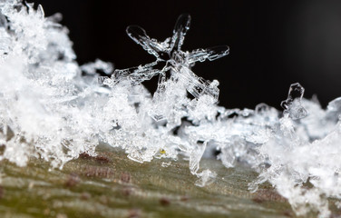 winter photo of snowflakes in the snow