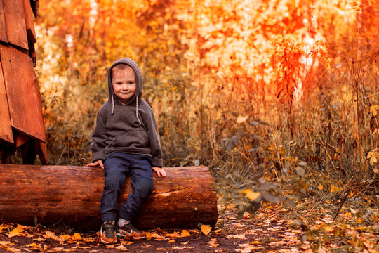 little boy in jeans and hoodie in autumn Park. Bright autumn Park.