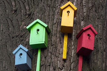 Four multi-colored birdhouse is on a big tree. Colored bird houses nailed to the trunk of a tree. Nature conservation concept.