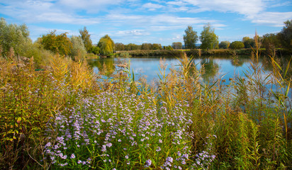 Fototapeta na wymiar See bei Kappel-Grafenhausen in der Ortenau im Herbst