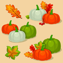 Autumn set of vector illustration of pumpkins and leafs