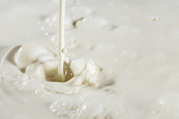 Fresh milk. Stream of milk with a beautiful spray.