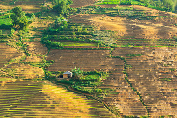 Beauty of rice terraces in a mountainous region, Northern Vietnam in watering season