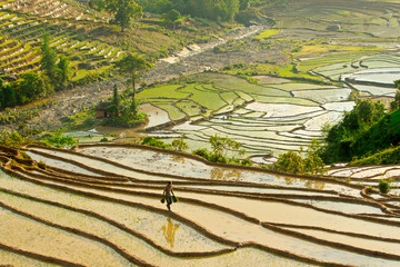 Beauty of rice terraces in Northern Vietnam
