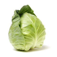 cabbage on white background