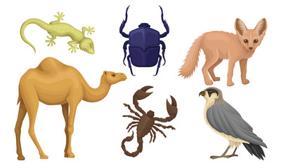 Desert Living Creatures Vector Illustrated Set Isolated On White Background