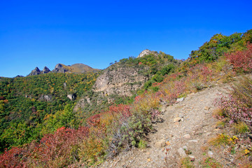Obraz premium Natural scenery