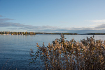 Autumn sea landscape in the inner harbour of Stockholm with ferries and boats.