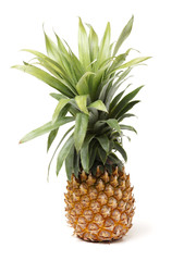Fototapeta premium Pineapple on a white background