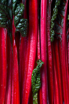 Balkan cuisine. Macro.  Blitva ( chard leaves ) - popular leafy vegetables.