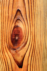 Woodiness grain, eye shape