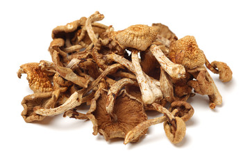 dried mushroom on white background