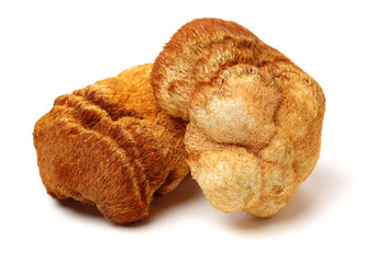 Hericium erinaceus on white background © zcy