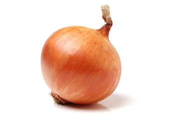 Gold onion vegetable bulbs on white background