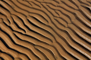 Fototapeta na wymiar seaside beach texture