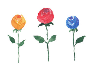 Watercolor abstract roses on white background