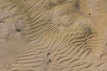 Wet ground