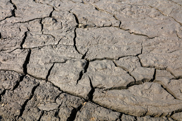 Parched soil