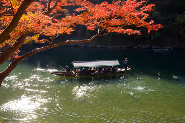Boatman punting the boat at river. Arashiyama in autumn season along the river in Kyoto, Japan.