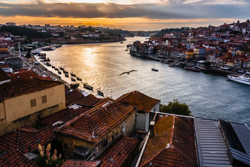 Sunset light on Douro River from Serra do Pilar. Lanscape of Porto old town, river boats and flying...