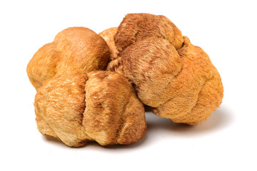 hericium erinaceus on white background © zcy