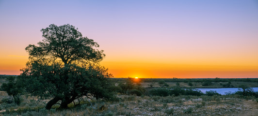 Panorama of sunset over desert in Australia with copy space