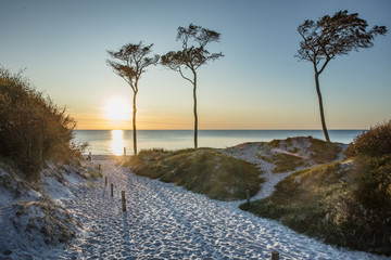strand