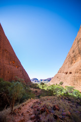 Fototapeta na wymiar Rote Felswände in der Wüste
