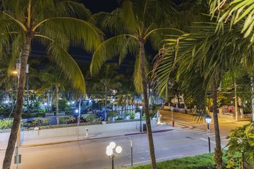 Beautiful view of deserted street at night. Empy road view through green palm trees. Key West....