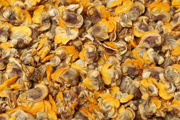 Fresh boiled cockle meat  background