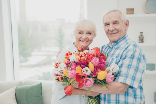 Closeup photo of two adorable aged people cute pair anniversary holiday surprise big red tulips bunch flat indoors - Powered by Adobe