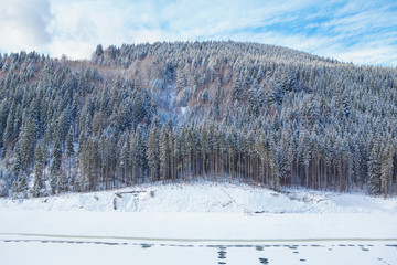 winter scenery with coniferous forest and frozen lake © Leilani