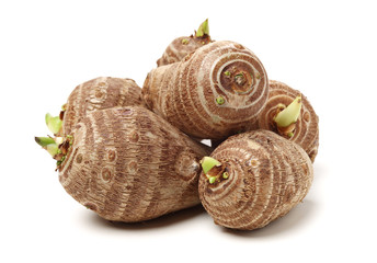 Taro on a white background