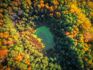 Amazing autumnal landscape of small pond in the forest, Poland
