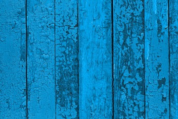 Fototapeta na wymiar light blue natural timber texture - cute abstract photo background