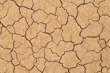 Clay sandy earth parched and cracked