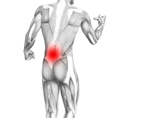 Conceptual back human anatomy with red hot spot inflammation articular joint pain or spine health care therapy or sport muscle concepts. 3D illustration man arthritis or bone sore osteoporosis disease