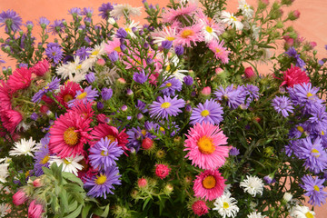 Blumen 1156 © K.-U. Häßler