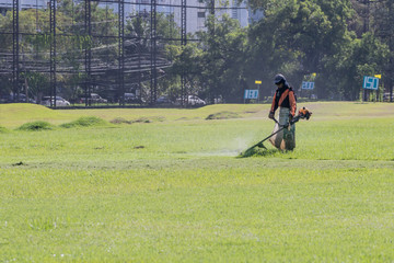 Worker mowing lawn with grass trimmer outdoors in garden. 