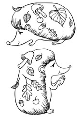 Hedgehogs vector illustration coloring pages for children