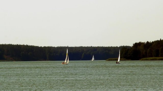 An extremely long shot of yachts sailing at the Wdzydze Lake in the Kaszubski Park Krajobrazowy, Pomeranian Voivodeship, Poland.