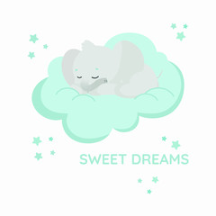 Vector illustration of a baby elephant sleeping on a blue cloud.  Around him are blue and blue stars.  The little elephant has sweet dreams.  The elephant folded his trunk. Limited palette.