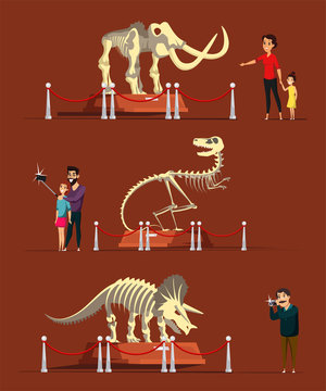 Dinosaur bones exhibition flat vector illustration