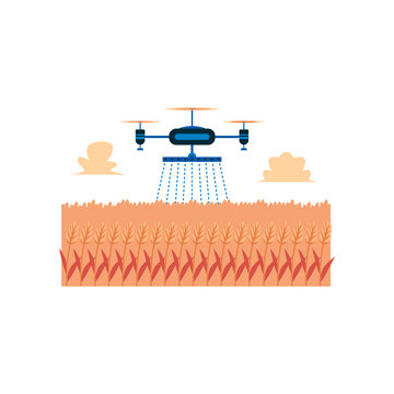 Aerial irrigation drone sprinkling water on orange wheat field