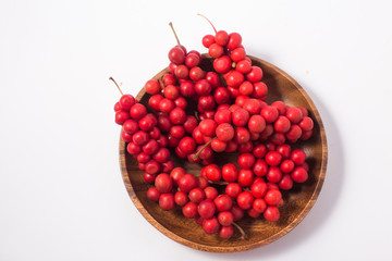Schisandra chinensis or five-flavor berry. Fresh red ripe berries