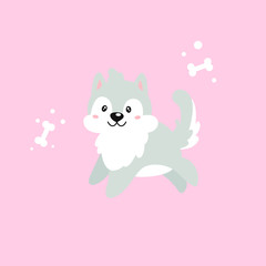 Vector flat illustration with a cute dog on a pink background. Gray husky puppy happy and joyful jumps forward. Near it are two sugar bones. Cartoon kawaii illustration for baby.