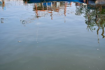 reflection of trees in water